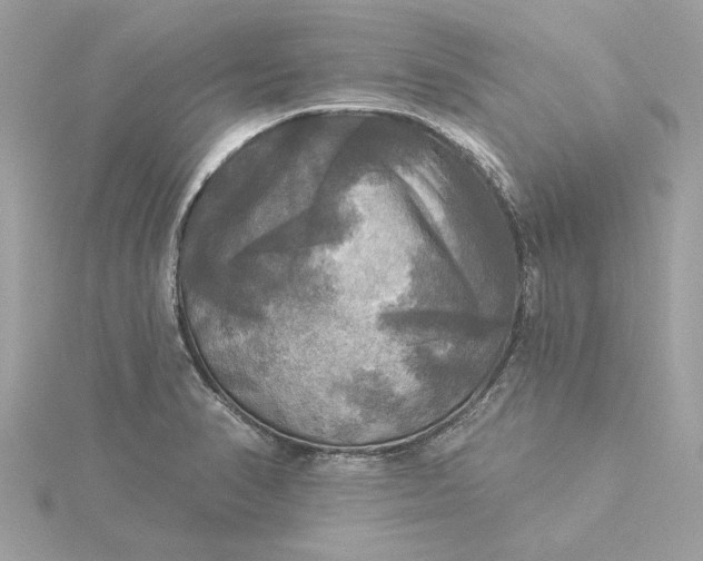 X0000116031374200912041926