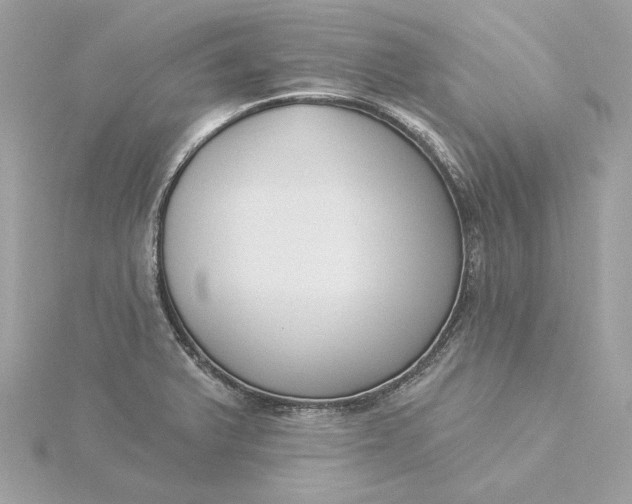 X0000116031375200912041926