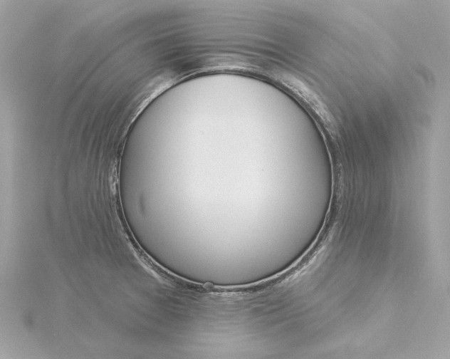 X0000116031377200912041926