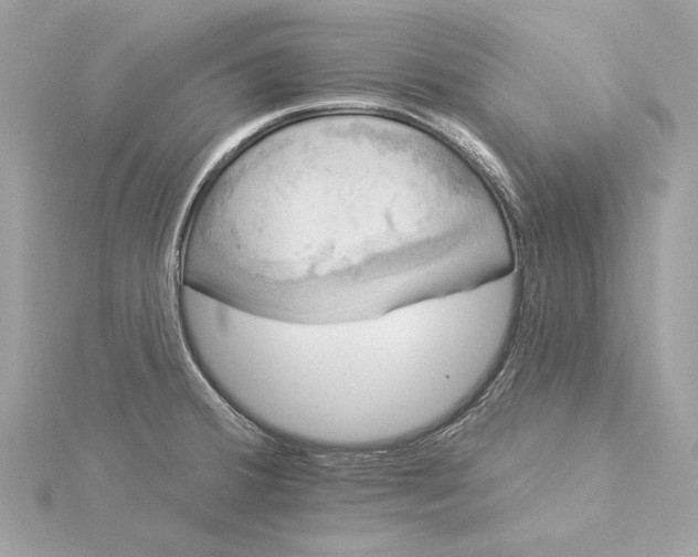 X0000116031380200912041926