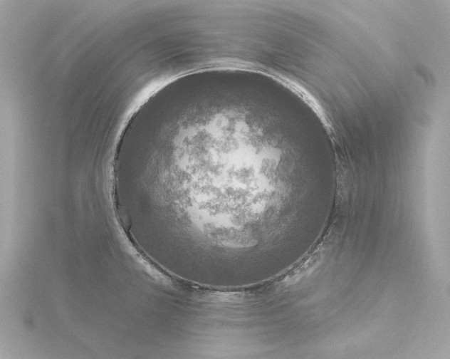 X0000116031381200912041926