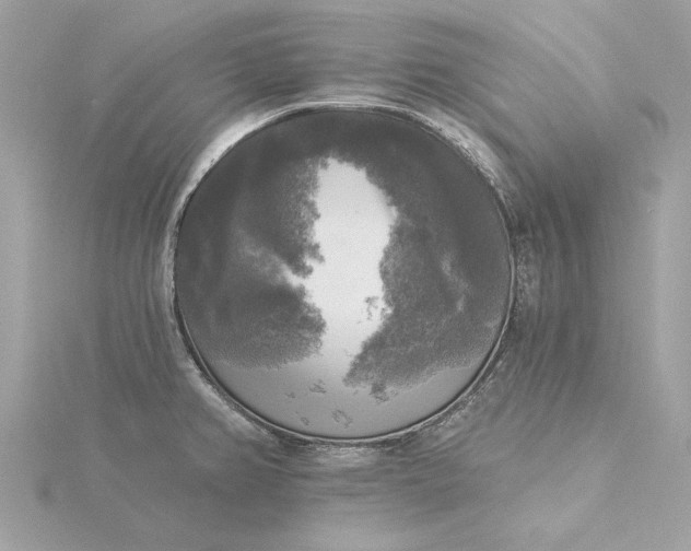 X0000116031382200912041926