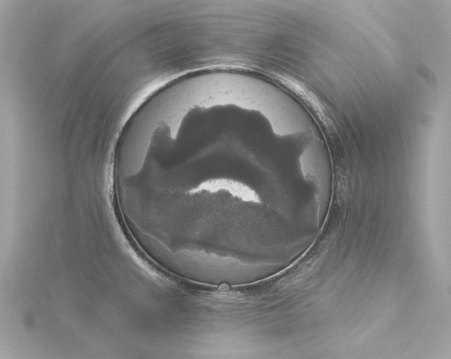 X0000116031383200912041926