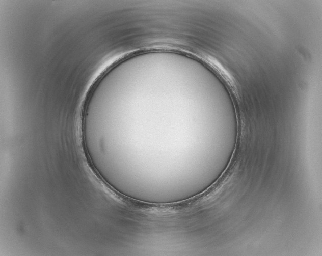 X0000116031384200912041926