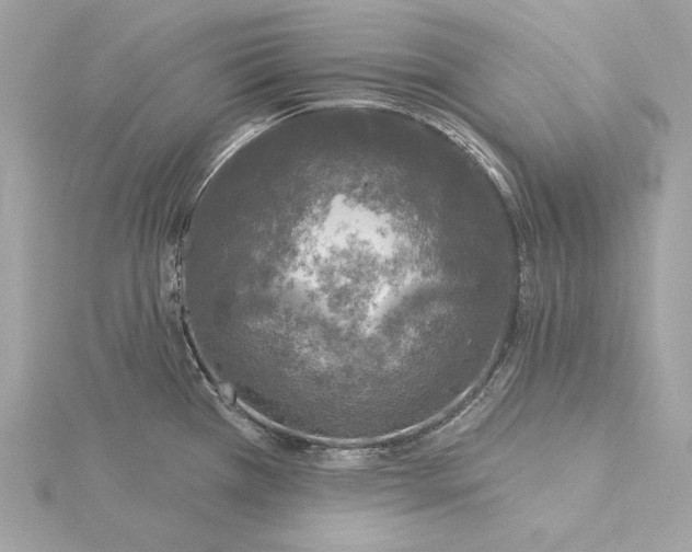 X0000116031385200912041926