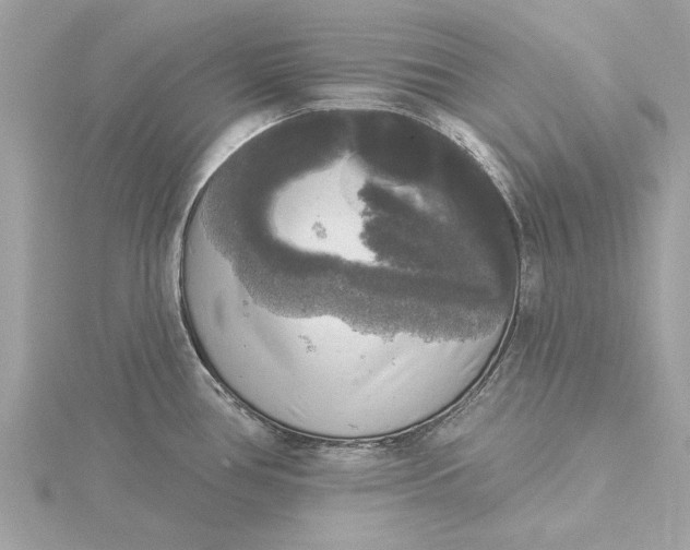 X0000116031386200912041926