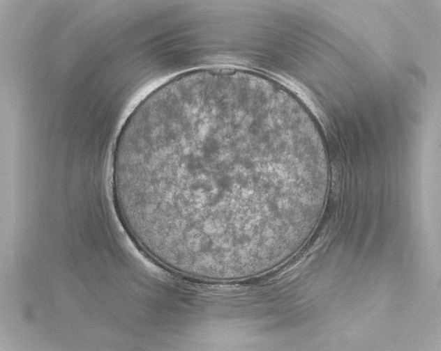 X0000116031387200912041926