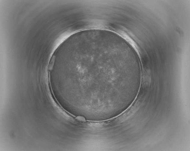 X0000116031389200912041926