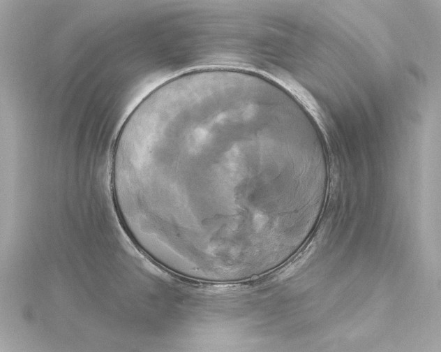 X0000116031390200912041926