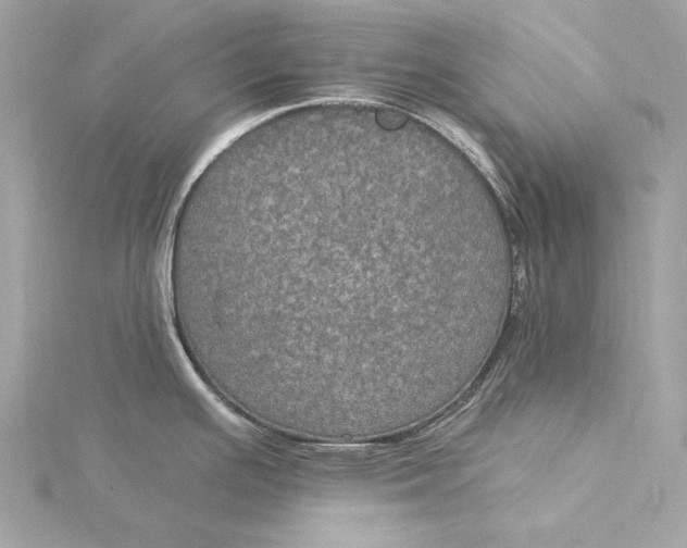 X0000116031391200912041926