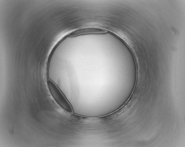 X0000116031392200912041926