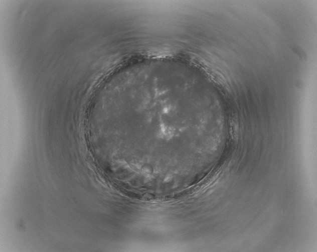 X0000116031393200912041925