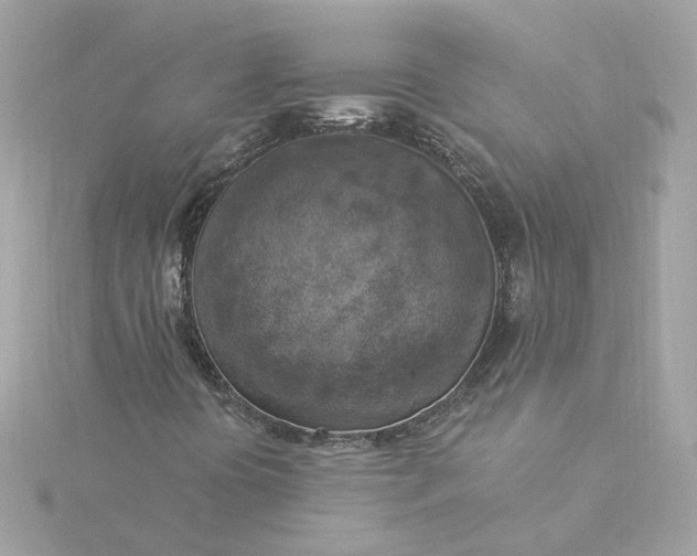 X0000116031394200912041925