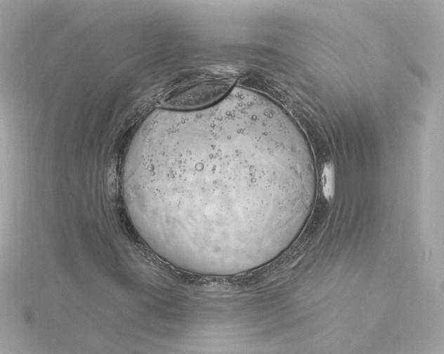 X0000116031395200912041925