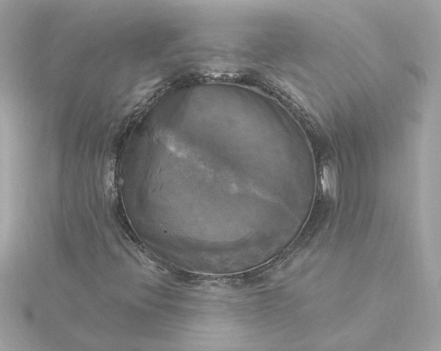 X0000116031396200912041925