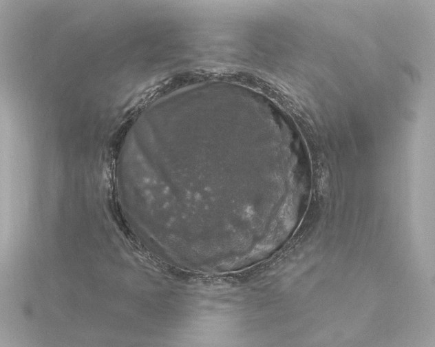 X0000116031397200912041925