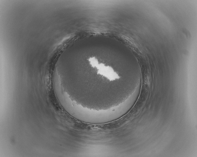 X0000116031398200912041925