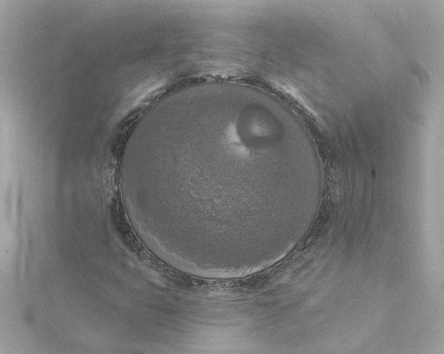 X0000116031399200912041925