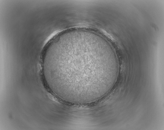 X0000116031400200912041925