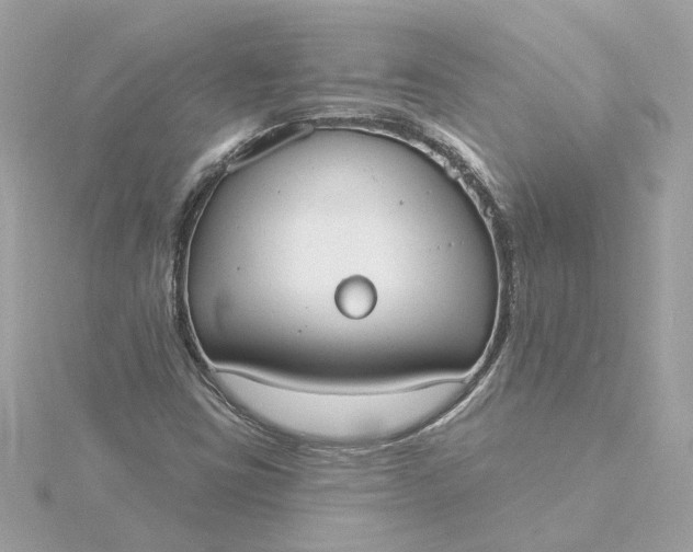 X0000116031403200912041925