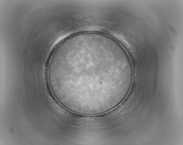 X0000116031404200912041925