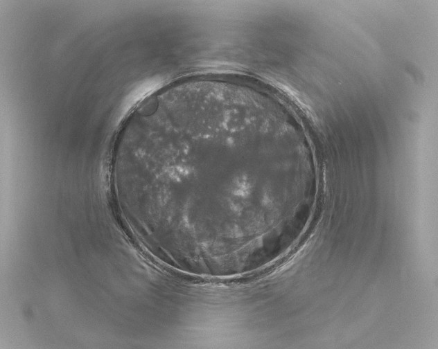 X0000116031405200912041925