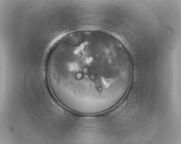 X0000116031406200912041925