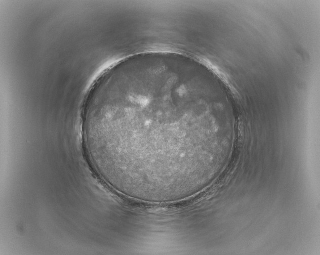 X0000116031408200912041925