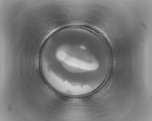 X0000116031409200912041925