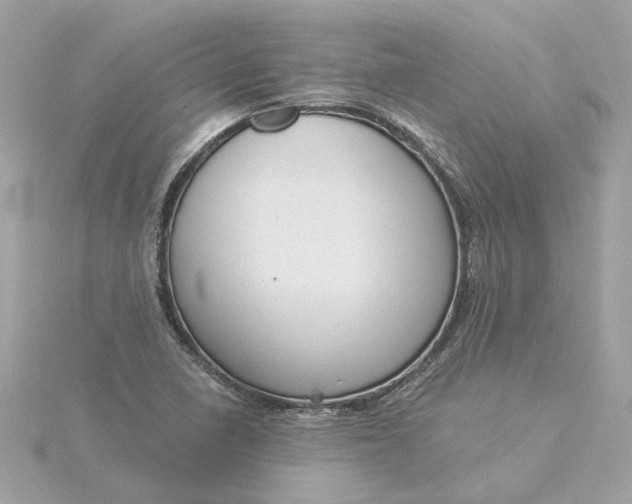 X0000116031410200912041925