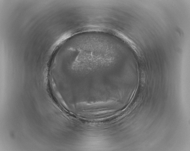 X0000116031411200912041925