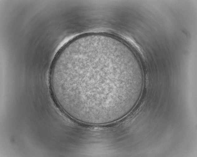 X0000116031412200912041925