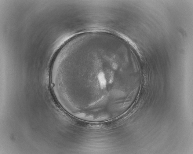 X0000116031415200912041925