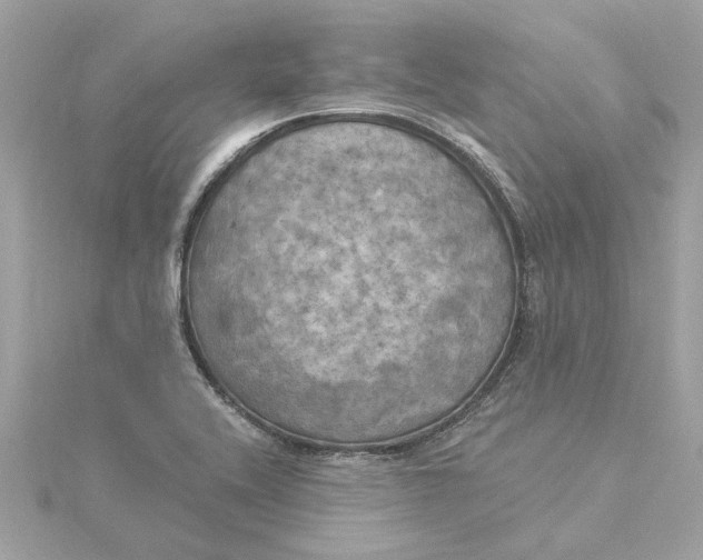 X0000116031416200912041925