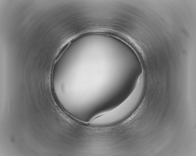 X0000116031417200912041925