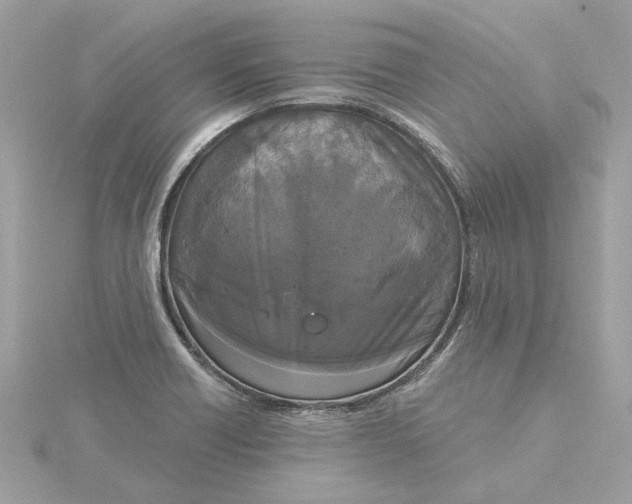 X0000116031418200912041925