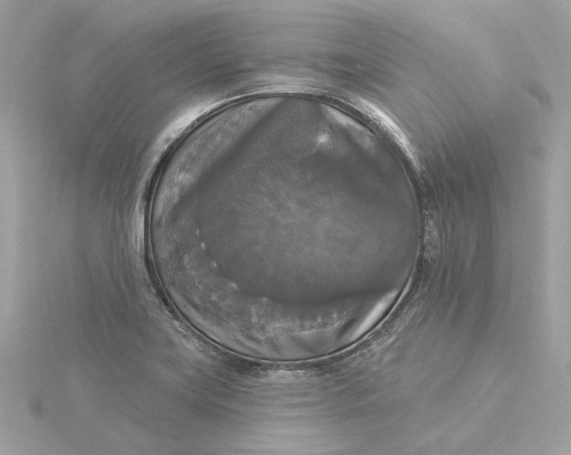 X0000116031419200912041925