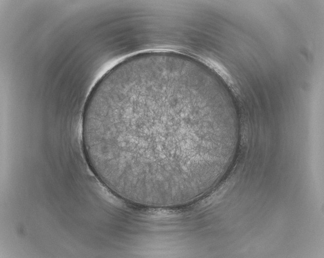 X0000116031420200912041925