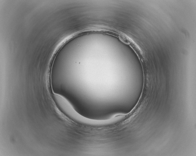 X0000116031421200912041925