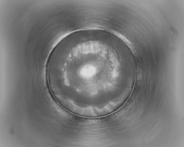 X0000116031423200912041925