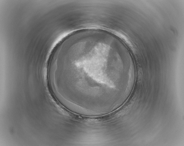 X0000116031424200912041925