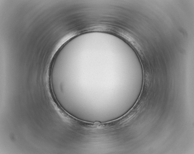 X0000116031426200912041925