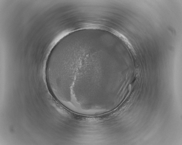 X0000116031427200912041925