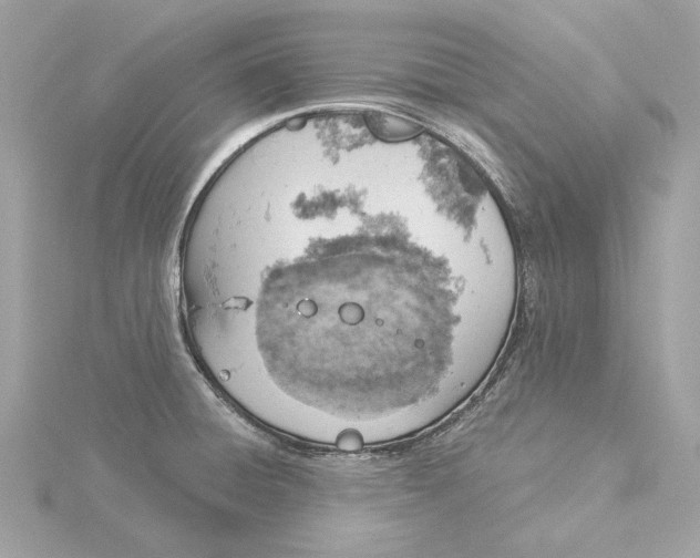 X0000116031428200912041925