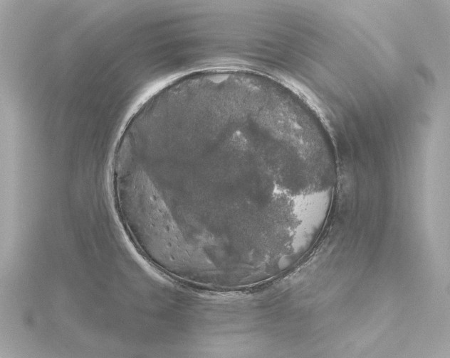 X0000116031429200912041925