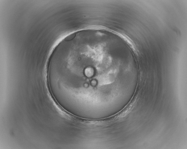 X0000116031430200912041925