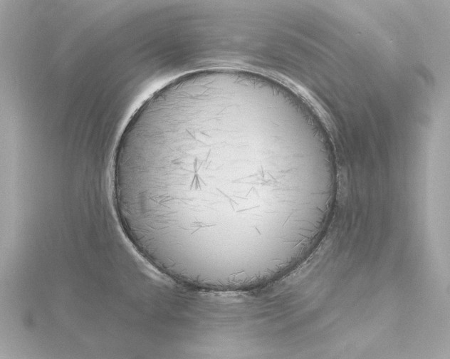 X0000116031432200912041925