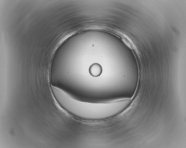 X0000116031433200912041925