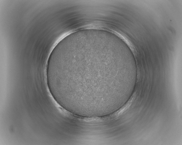 X0000116031434200912041926