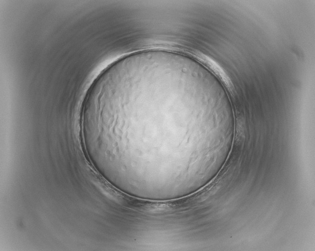 X0000116031435200912041926